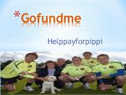 helppayforpippi