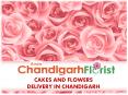 Cakes And Flowers Delivery In Chandigarh PowerPoint PPT Presentation