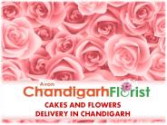 Cakes And Flowers Delivery In Chandigarh