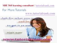 SBE 560 Learning Consultant / tutorialrank.com