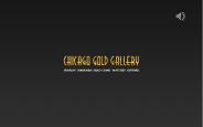 Professional Coin Graders - Chicago Gold Gallerys