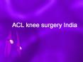 Acl operation cost in India PowerPoint PPT Presentation