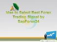 Forex Signal Company | Sapforex24blog |Comex Live PowerPoint PPT Presentation