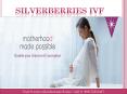 Best IVF treatment Center in Pune-Silverberries IVF (1) PowerPoint PPT Presentation