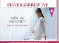 Best IVF treatment Center in Pune-Silverberries IVF PowerPoint PPT Presentation