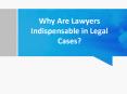 Why Are Lawyers Indispensable in Legal Cases? PowerPoint PPT Presentation