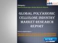 Global Polyanionic Cellulose (PAC) Industry 2016 Market Research Report: Aarkstore.com PowerPoint PPT Presentation