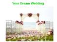 Your Dream Wedding PowerPoint PPT Presentation