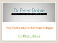 Top Facts About Adrenal Fatigue PowerPoint PPT Presentation