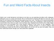 10 Amazing Reasons To Eat Insects