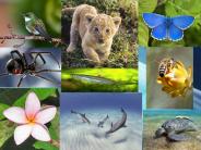 Dedicated to Nature