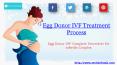 Egg Donor IVF Treatment India PowerPoint PPT Presentation