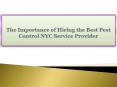 The Importance of Hiring the Best Pest Control NYC Service Provider PowerPoint PPT Presentation