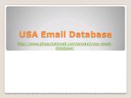 USA Email Database