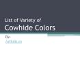 List of different colors of Cowhide Rugs Australia PowerPoint PPT Presentation