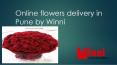 Online flowers delivery in Pune PowerPoint PPT Presentation
