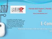 Florida seo