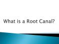 What is a Root Canal? PowerPoint PPT Presentation