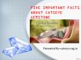 Five Important Facts About Catseye Gemstone PowerPoint PPT Presentation