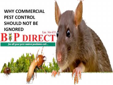 Why Commercial Pest Control Should Not Be Ignored