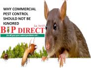 Why Commercial Pest Control Should Not Be Ignored