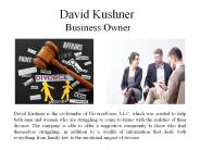 David Kushner Business Owner