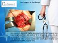 Plastic Surgery Service Provider in Northridge | Calwestent PowerPoint PPT Presentation
