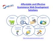 Affordable and Effective Ecommerce Web Development Solutions