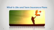 What Is Life and Term Insurance Plans