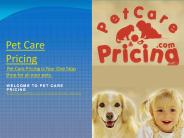 Petcarepricing Presentation