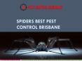 Spiders Best Pest Control Brisbane PowerPoint PPT Presentation