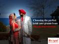 Choosing the perfect bride and groom from Royal Matrimonial PowerPoint PPT Presentation