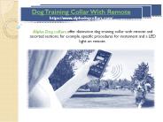 dog training collar
