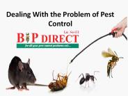 Dealing With the Problem of Pest Control