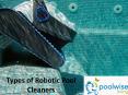 Types of Robotic Pool Cleaners
