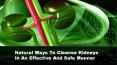 Natural Ways To Cleanse Kidneys In An Effective And Safe Manner PowerPoint PPT Presentation