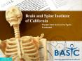 Spine Institute Newport Beach CA PowerPoint PPT Presentation
