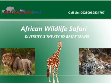Best Affordable Zambia Safaris | Tanzania Safari