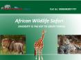 Best Affordable Zambia Safaris | Tanzania Safari PowerPoint PPT Presentation