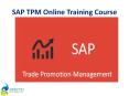 SAP Trade Promotion Management(TPM) Online Training in UK PowerPoint PPT Presentation