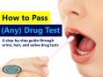 How to Pass (Any) Drug Test PowerPoint PPT Presentation