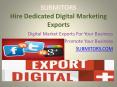 Hire Professional SEO Expert, Digital Marketing Expert – Website Promotion PowerPoint PPT Presentation