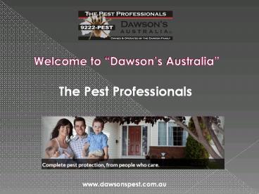 The Pest Professionals