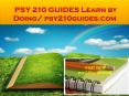 PSY 210 GUIDES Learn by Doing/ psy210guides.com PowerPoint PPT Presentation