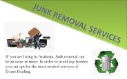 Dana Point Removal Services