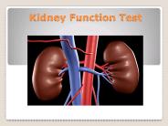Kidney Function Test in Gurgaon