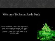 is Seeds Durham,Darlington