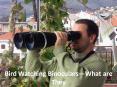 Bird Watching Binoculars—What are They PowerPoint PPT Presentation