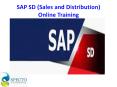 Sap Sales and Distribution Online Training course in UK PowerPoint PPT Presentation