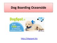 Dog Daycare Encinitas